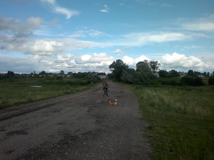 Ковиничі з panoramio.com - Ковиничі