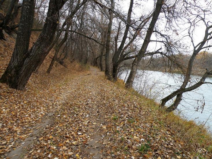 Кружилівка з panoramio.com - Kruzhylivka