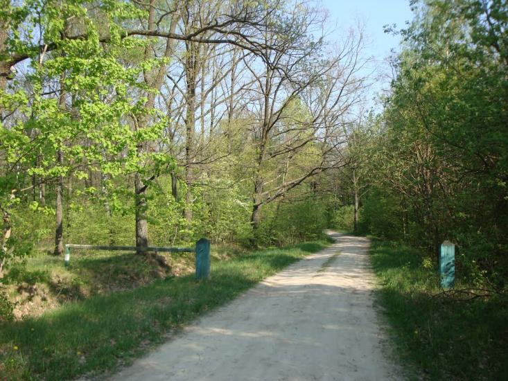 М'ясківка з panoramio.com - М'ясківка