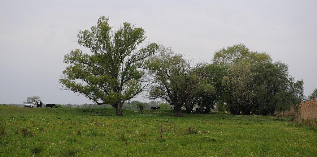 Ямпіль з panoramio.com - Ямпіль