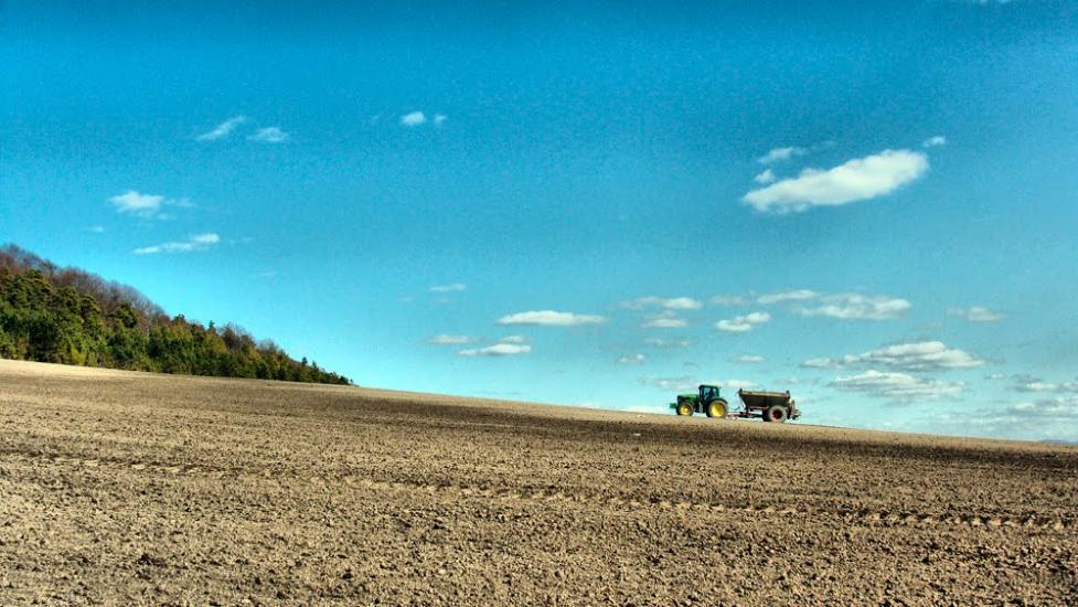 Черемошня з panoramio.com - Черемошня