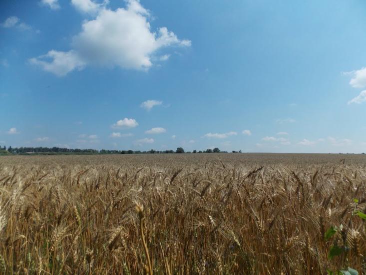 Дашів з panoramio.com - Dashiv