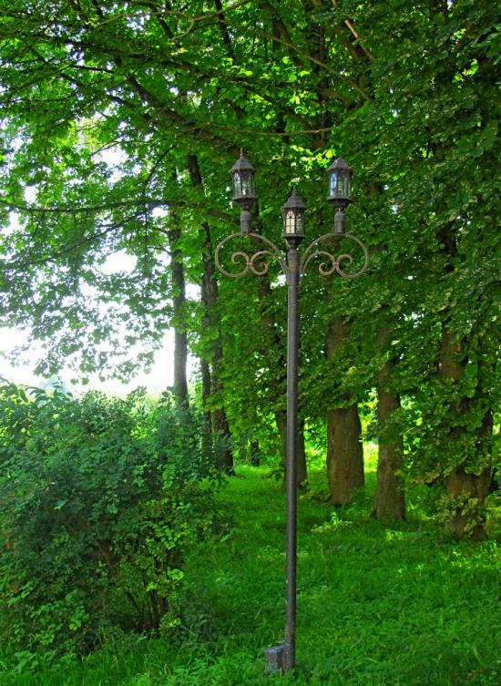 Млинів з panoramio.com - Mlyniv