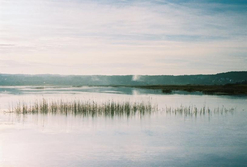 Івано-Франкове з panoramio.com - Ivano-Frankove