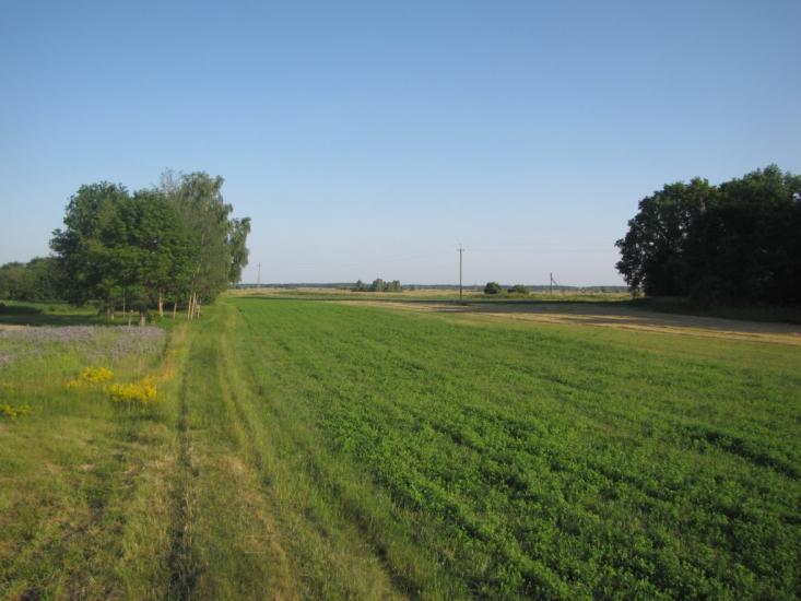 Сираї з panoramio.com - Сираї