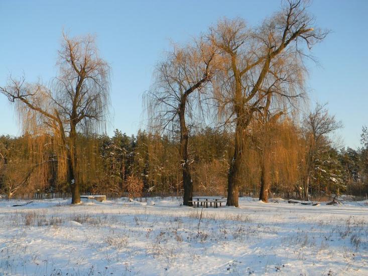 Бірки з panoramio.com - Бирки