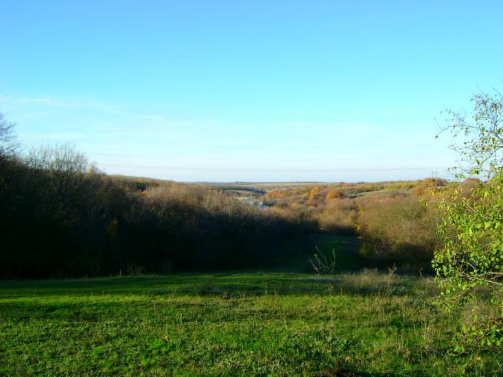 Придніпрянське з panoramio.com - Приднепрянское