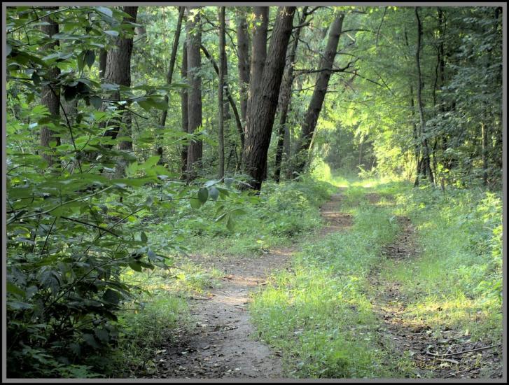 Шкарівка з panoramio.com - Шкарівка