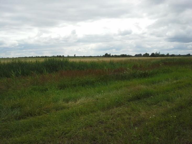 Сошники з panoramio.com - Сошники