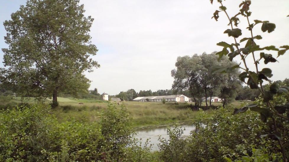 Стрілковичі з panoramio.com - Стрелковичи