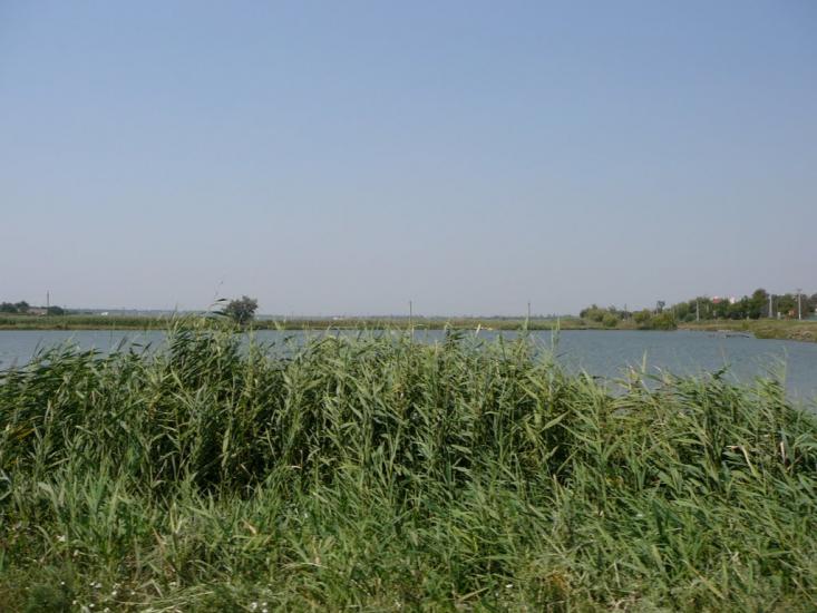 Грибівка з panoramio.com - Грибовка