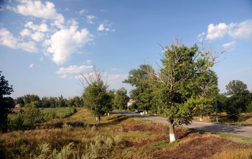 Дмитрівка з panoramio.com - Дмитровка