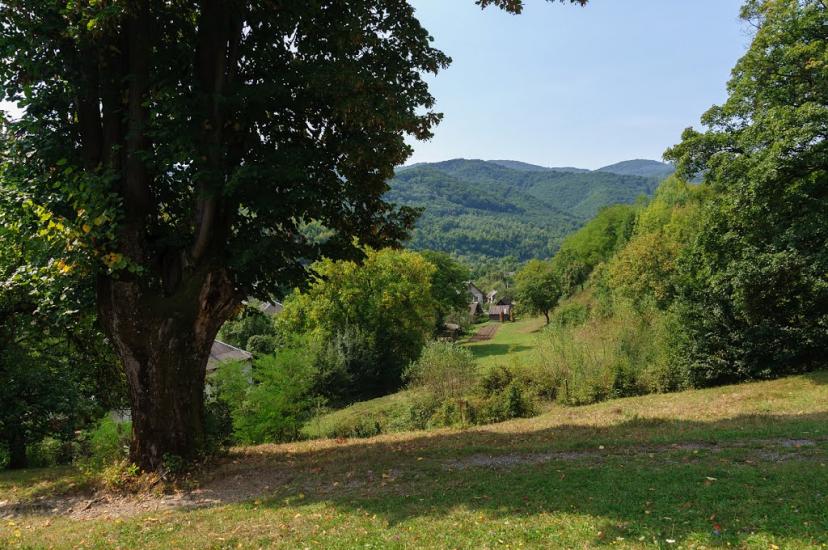 Кострина з panoramio.com - Кострина