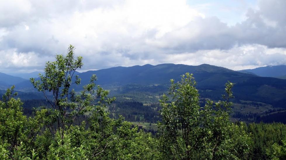 Завийка з panoramio.com - Завийка