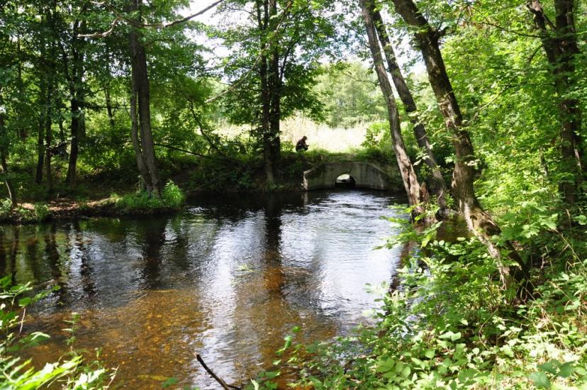 Серебрянка з panoramio.com - Серебрянка