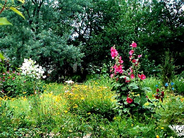 Кам'яна Яруга з panoramio.com - Кам'яна Яруга