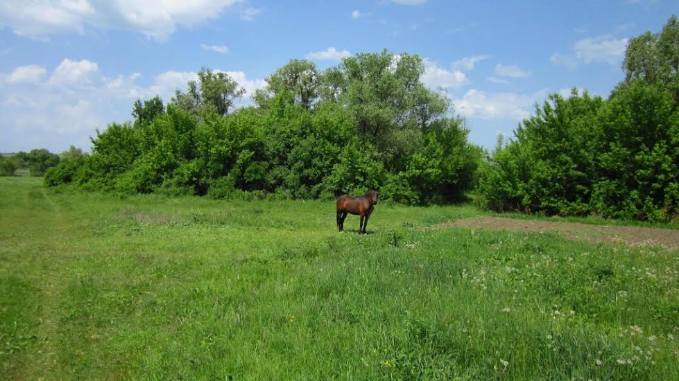 Сиваш з panoramio.com - Сиваш