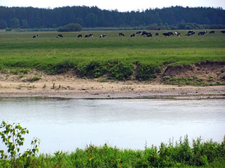 Хотин з panoramio.com - Хотин