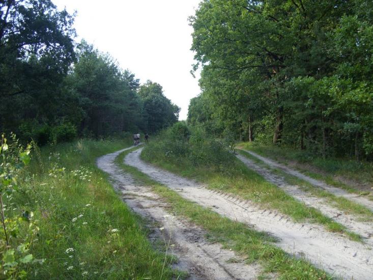 Обенижі з panoramio.com - Обенижі