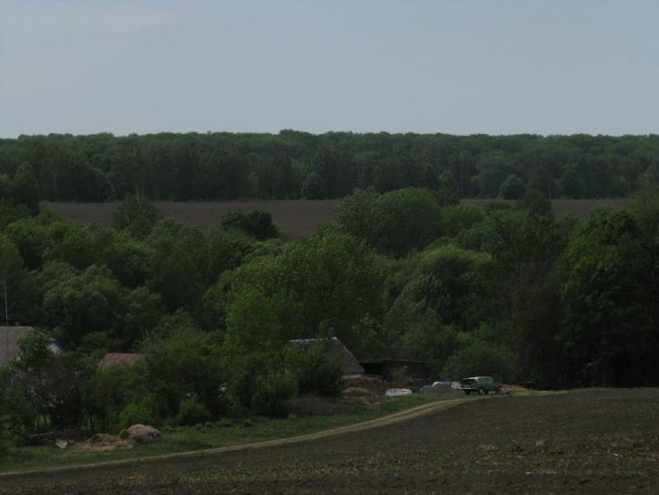 Юшківці з panoramio.com - Юшківці