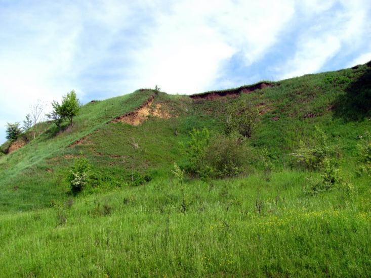 Хутір-Будилів з panoramio.com - Хутор Будылов