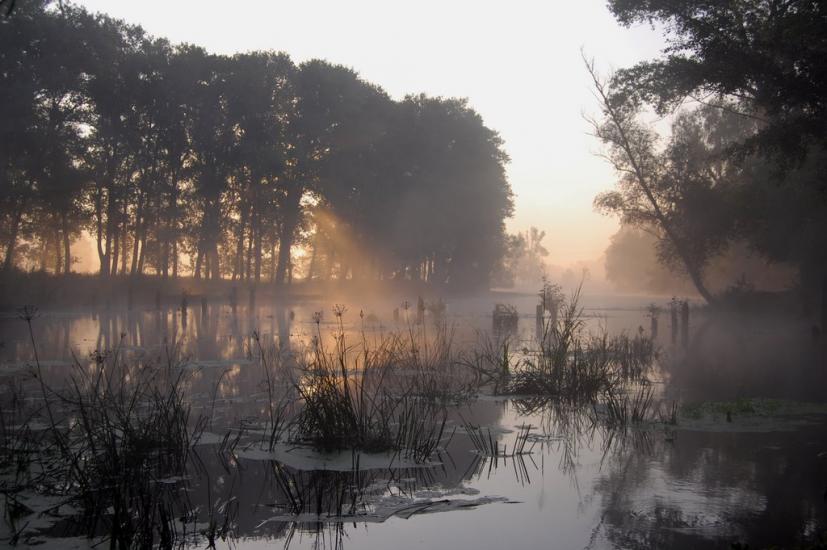 Сосниця з panoramio.com - Сосниця