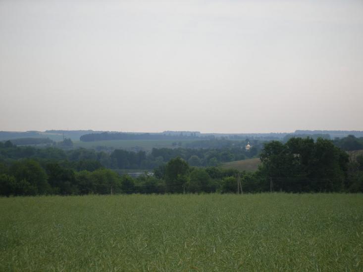 Квітки з panoramio.com - Квітки