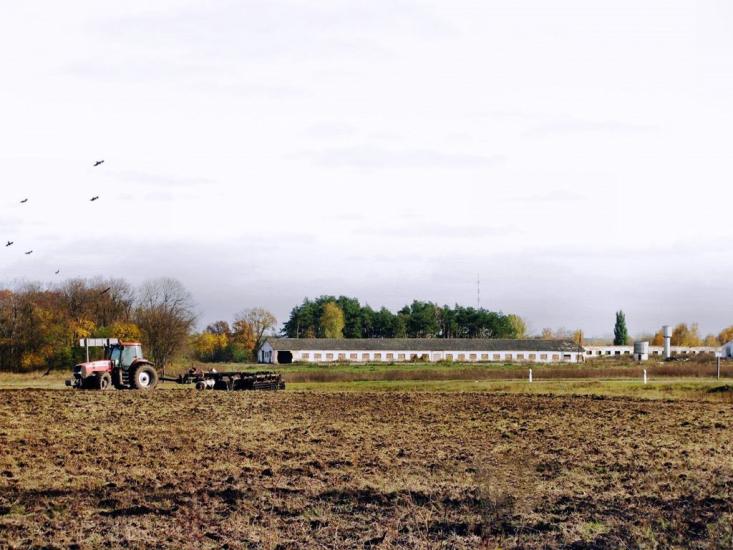 Заїзд з panoramio.com - Заезд