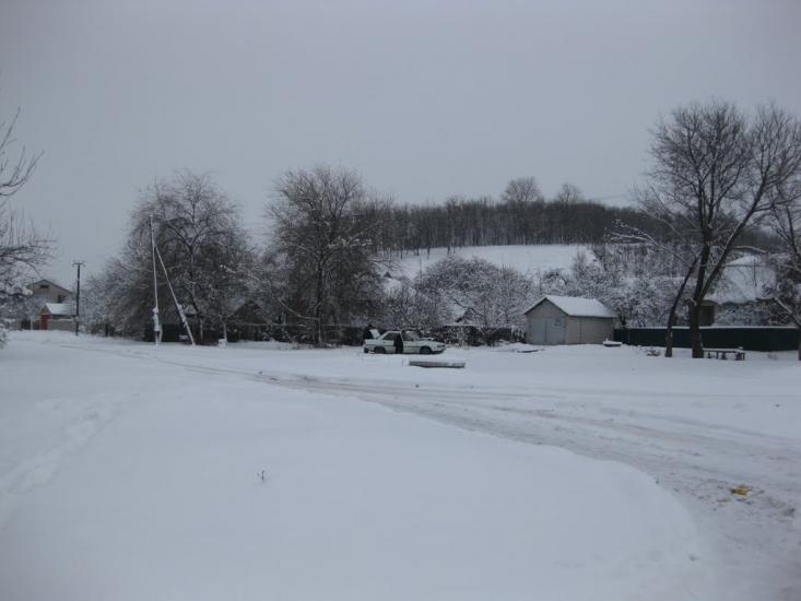 Садки з panoramio.com - Садки