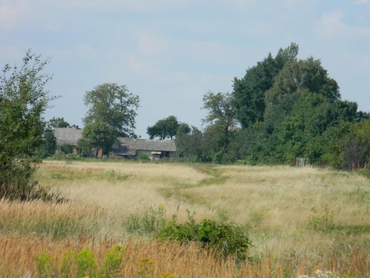 Велика Калинка з panoramio.com - Велика Калинка