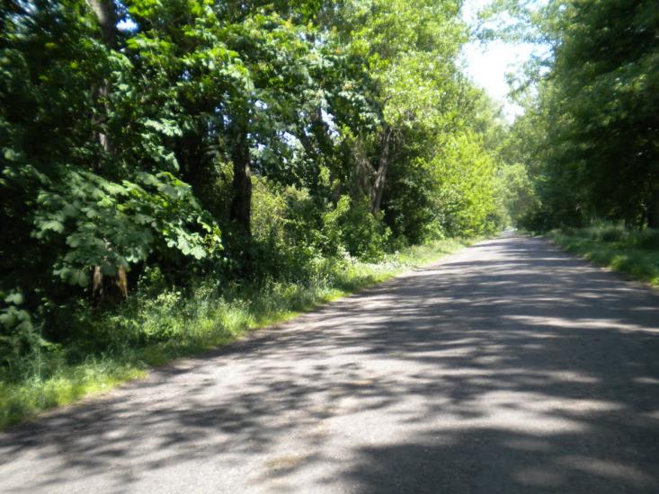 Кунин з panoramio.com - Кунин