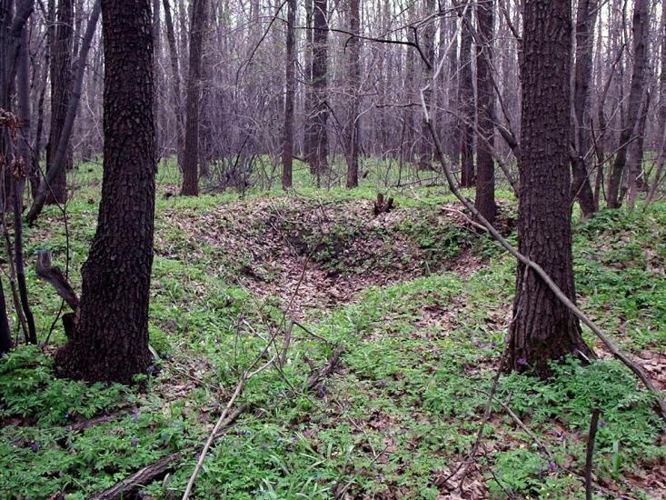 Солоницівка з panoramio.com - Солоницевка