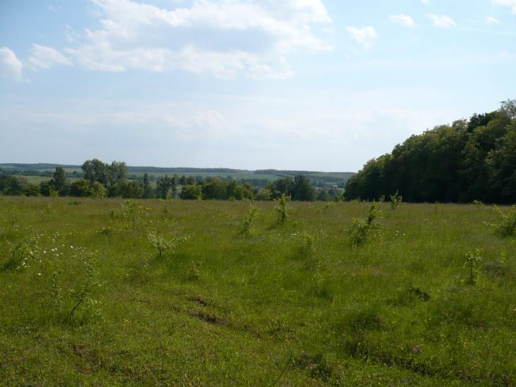 Думенки з panoramio.com - Думенки