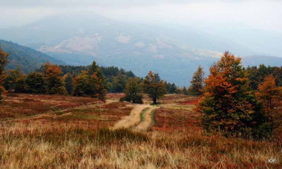 Тюшка з panoramio.com - Тюшка