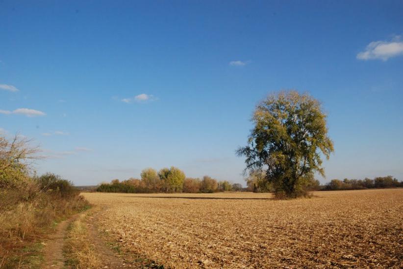 Сапожине з panoramio.com - Сапожино