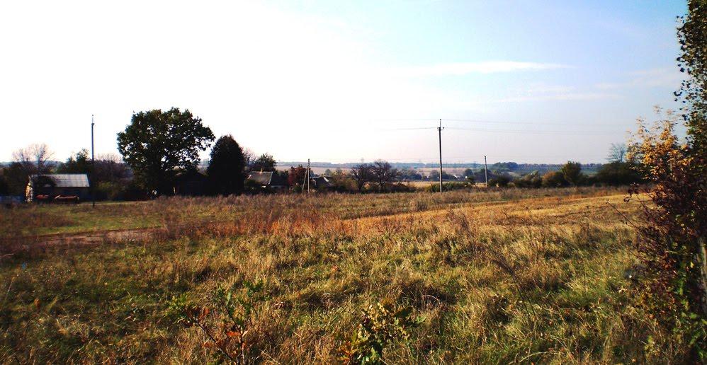 Шевченкове з panoramio.com - Шевченкове