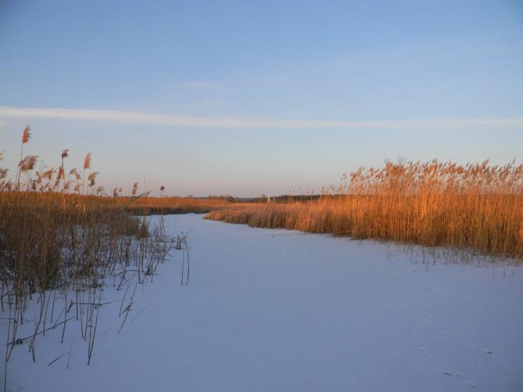 Бірки з panoramio.com - Бирки