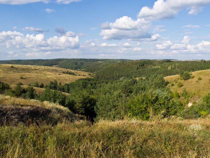 Бровахи з panoramio.com - Бровахи