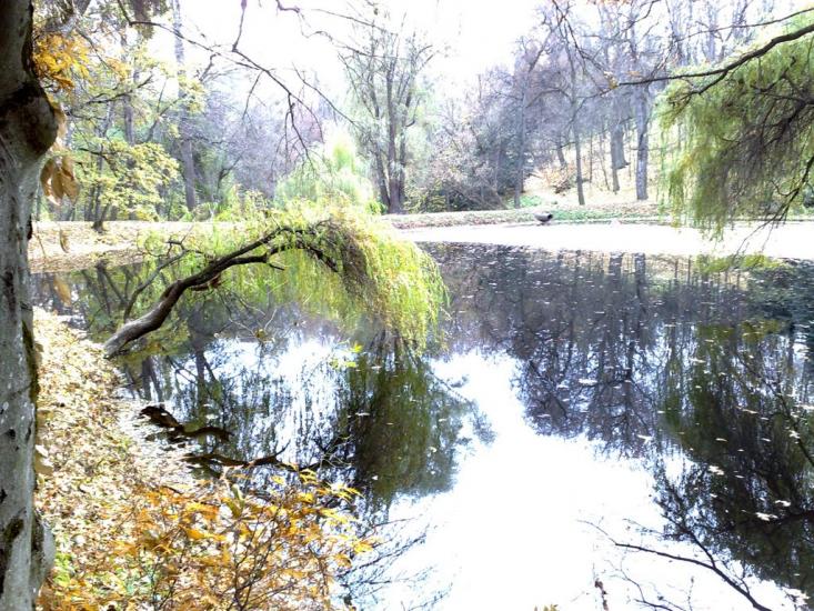 Краснокутськ з panoramio.com - Краснокутск