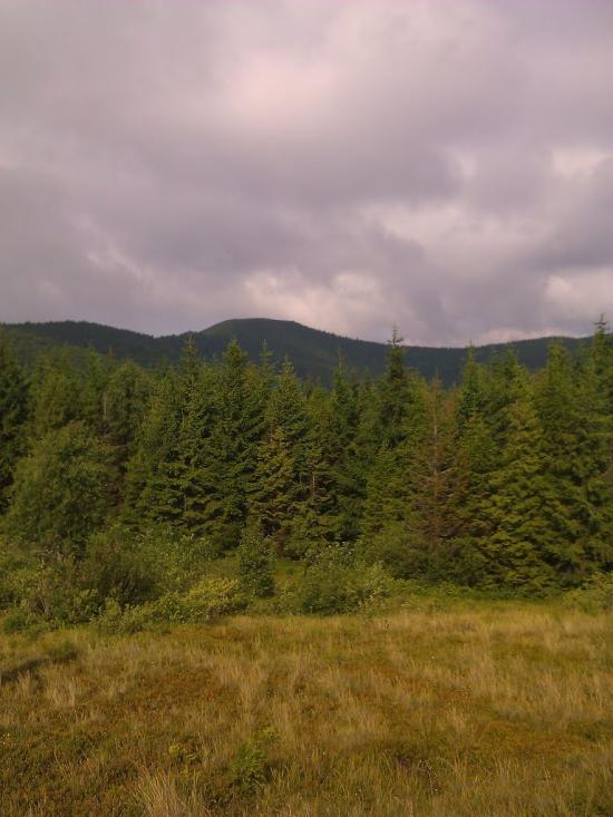 Кам'янка з panoramio.com - Каменка