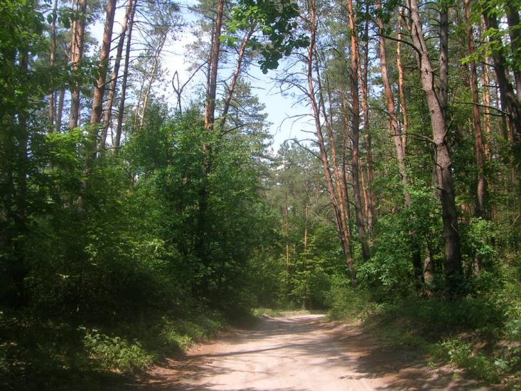 Кирдани з panoramio.com - Кирдани