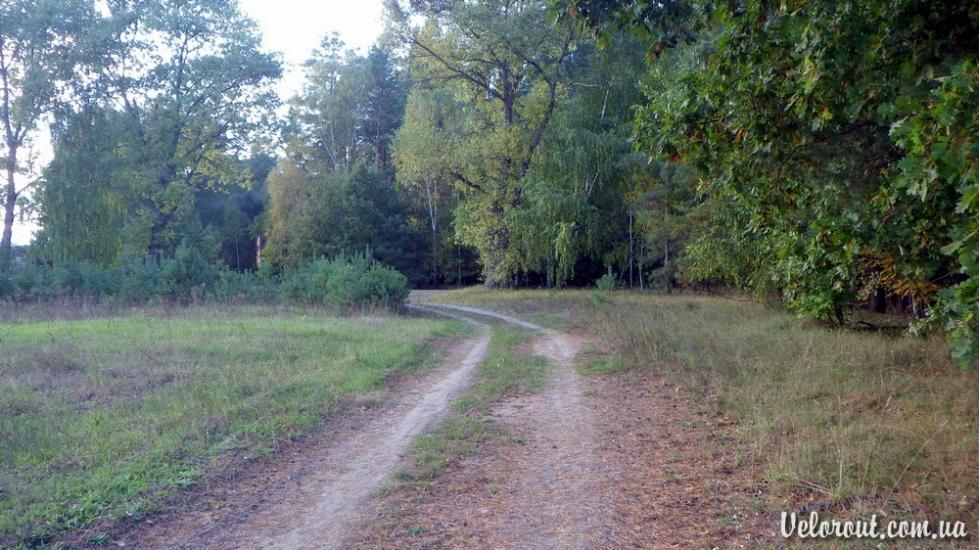 Бовсуни з panoramio.com - Бовсуни