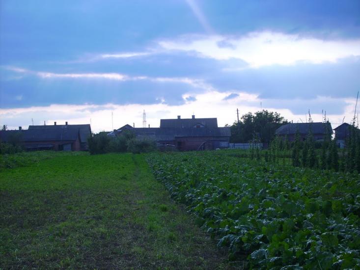 Волиця з panoramio.com - Волица