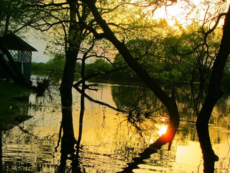 Семки з panoramio.com - Семки