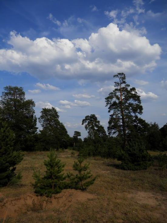 Гвардійське з panoramio.com - Гвардійське