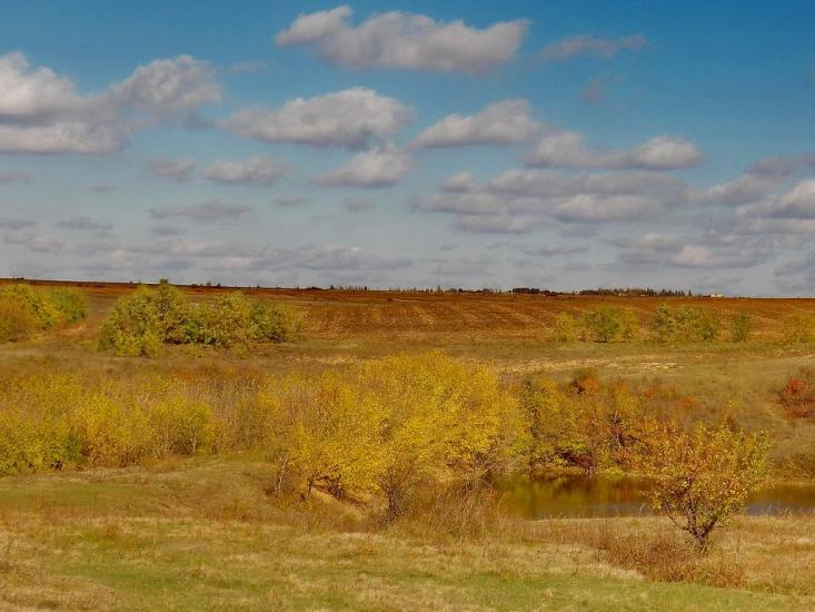 Данилове з panoramio.com - Данилово