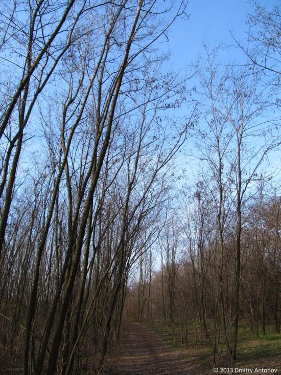 Тернуватка з panoramio.com - Терноватка