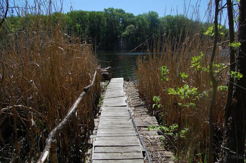 Серебрянка з panoramio.com - Serebryanka