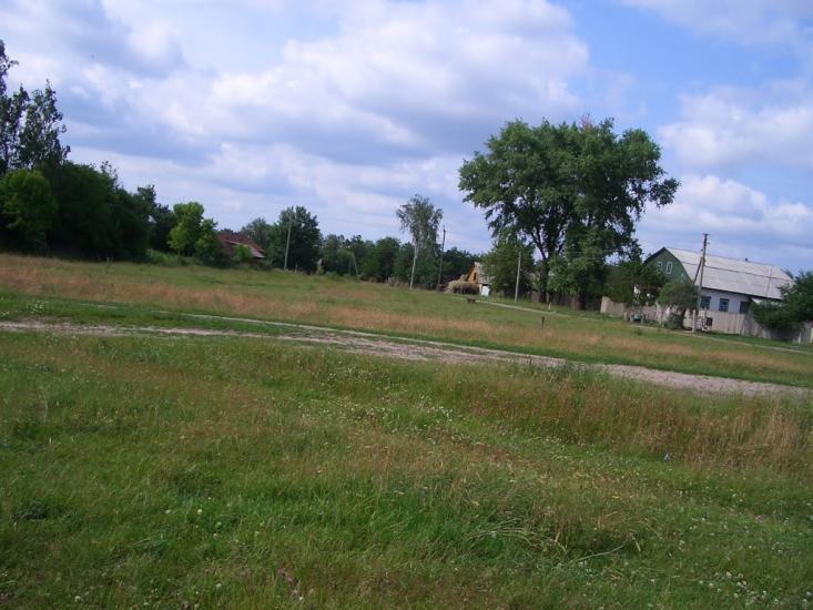 Алтинівка з panoramio.com - Алтинівка