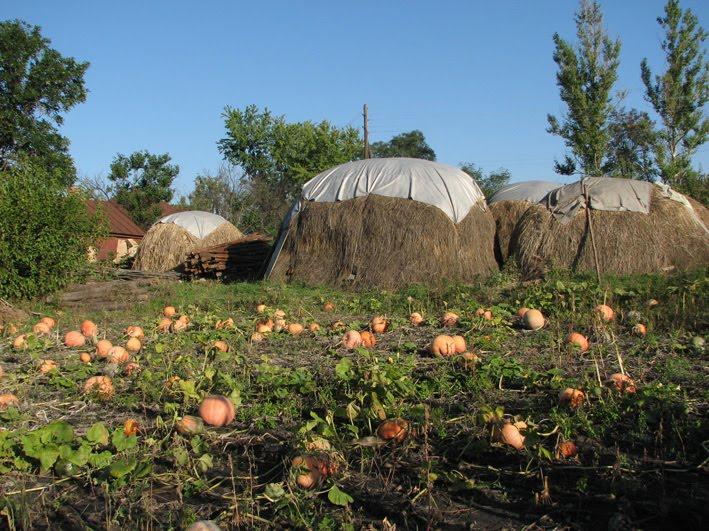 Бірки з panoramio.com - Бірки